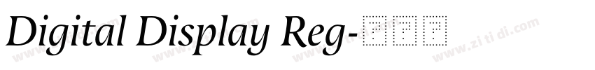 Digital Display Reg字体转换 Digital Display Reg字体转换